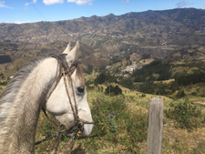 Ecuador-Highlands Riding Tours-Cotopaxi and Quilotoa Loops